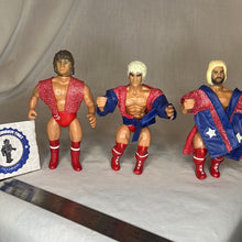 Load image into Gallery viewer, AWA Fabulous Freebirds
